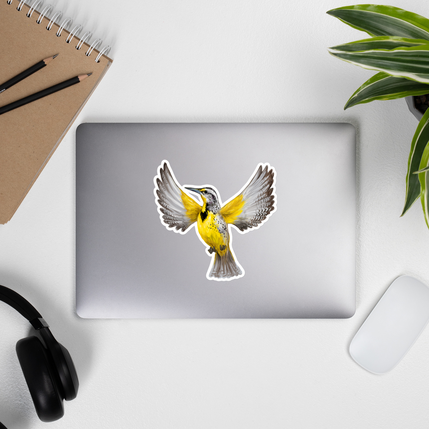 Western Meadowlark Vinyl Sticker – Bird Lover Gift – Prairie Songbird Illustration